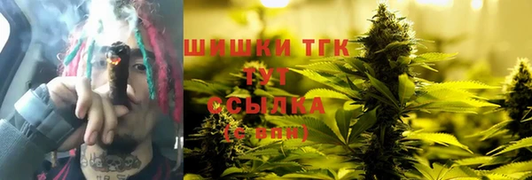прущая мука Арсеньев