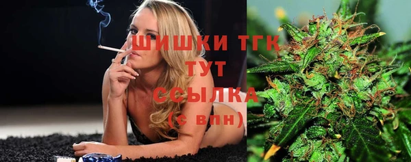 прущая мука Арсеньев