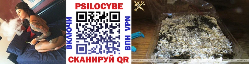 продажа наркотиков  Лысьва  Галлюциногенные грибы Psilocybine cubensis 